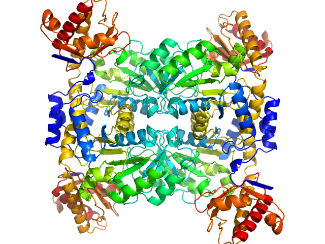 PHENIX model