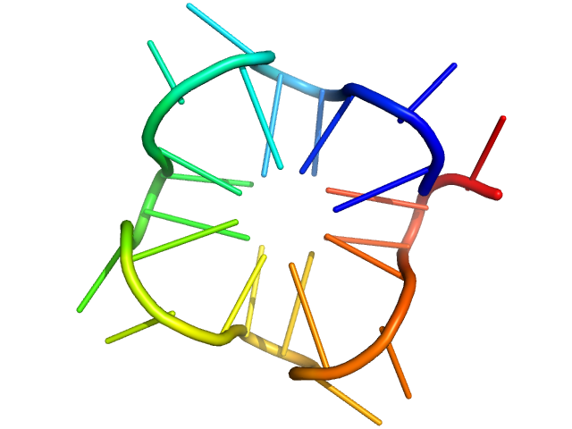polyGU RNA - (GU)12 XPLOR-NIH model