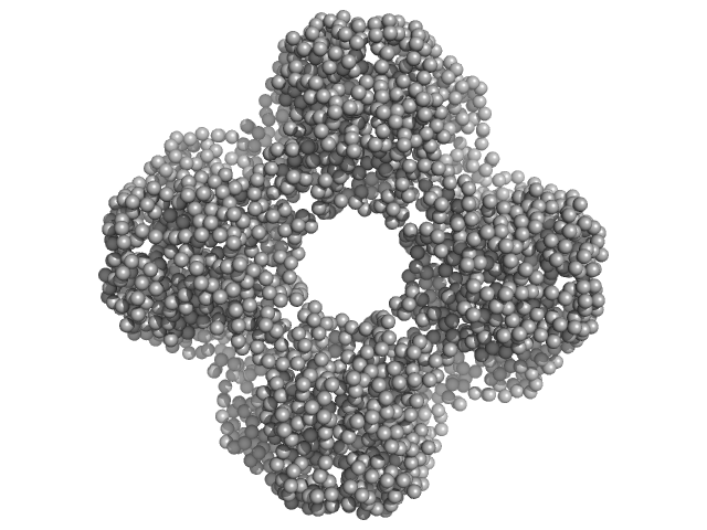 Acylamino-acid-releasing enzyme (I277L, V491A) GASBOR model