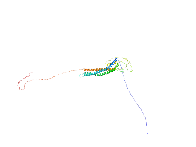 T. brucei spp.-specific protein BILBOMD model