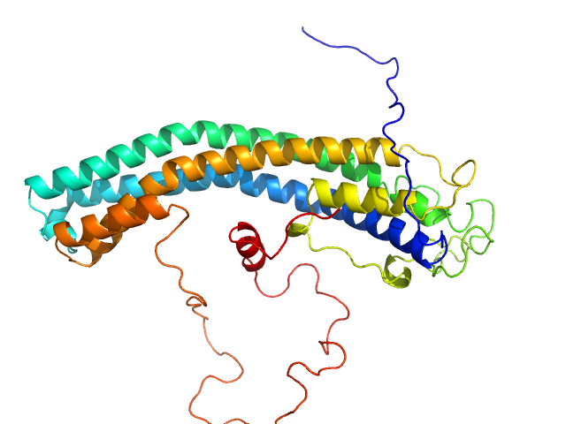 BILBOMD model