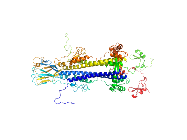 BILBOMD model