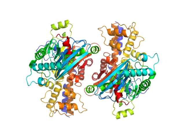 Glucokinase-1 Glucokinase-1 PYMOL model