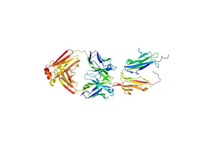 MOLECULAR DYNAMICS FRAME model