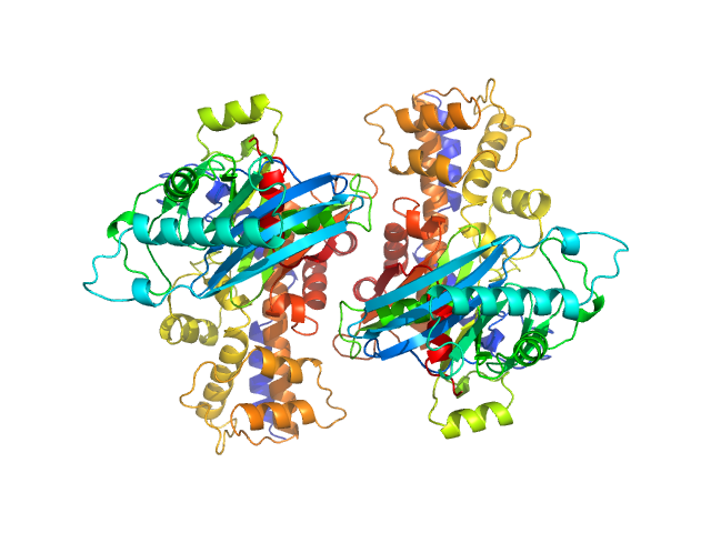 Glucokinase-1 (H304Q) Glucokinase-1 (H304Q) PYMOL model