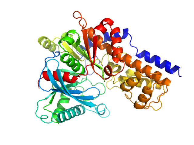 Glucokinase-1 (H304Q) Glucokinase-1 (H304Q) PYMOL model