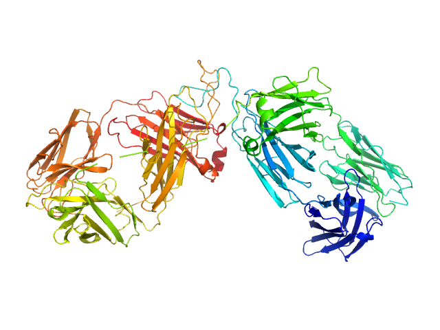 Human immunoglobulin gamma 2 (IgG2) ChiLob 7/4 F(ab')2 - heavy chain C224S/C225S Human immunoglobulin gamma 2 (IgG2) ChiLob 7/4 F(ab')2 - kappa light chain MODELLER model
