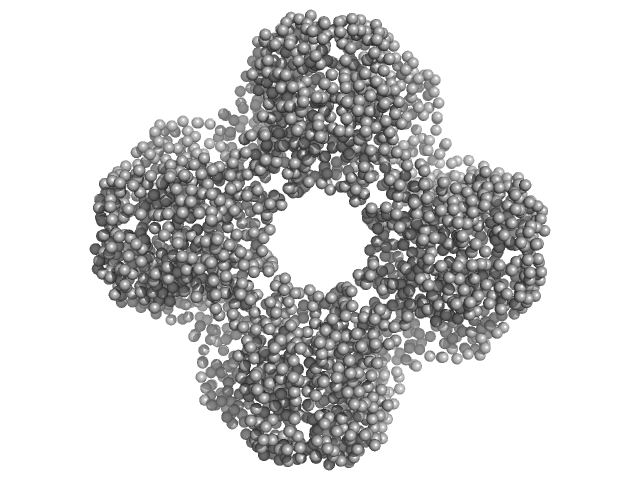 Acylamino-acid-releasing enzyme (I277L, V491A) GASBOR model