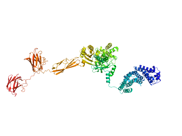 MULTIFOXS model