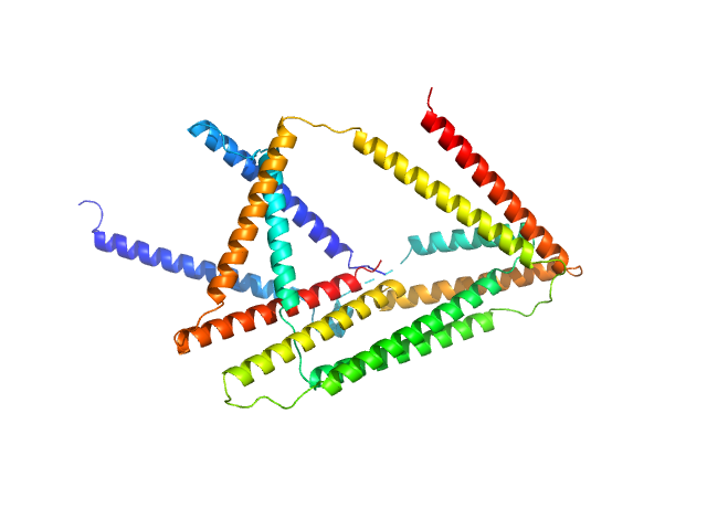 SREFLEX model