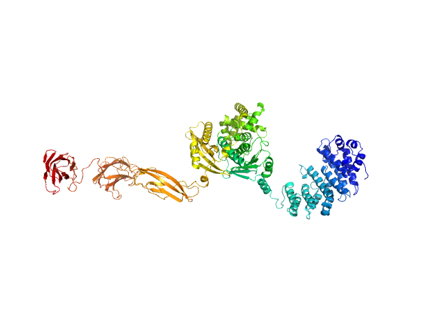 MULTIFOXS model