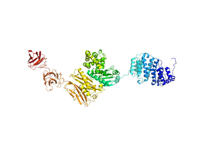 MULTIFOXS model