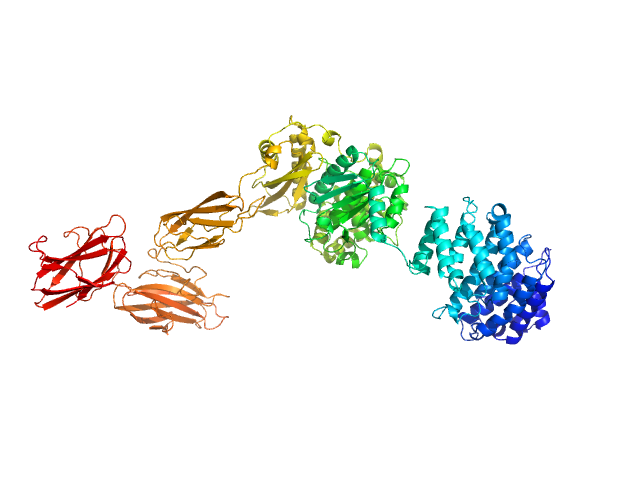 MULTIFOXS model