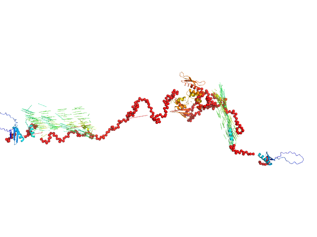 Double-stranded RNA-binding protein Staufen homolog 1 (Δ1-81) EOM/RANCH model