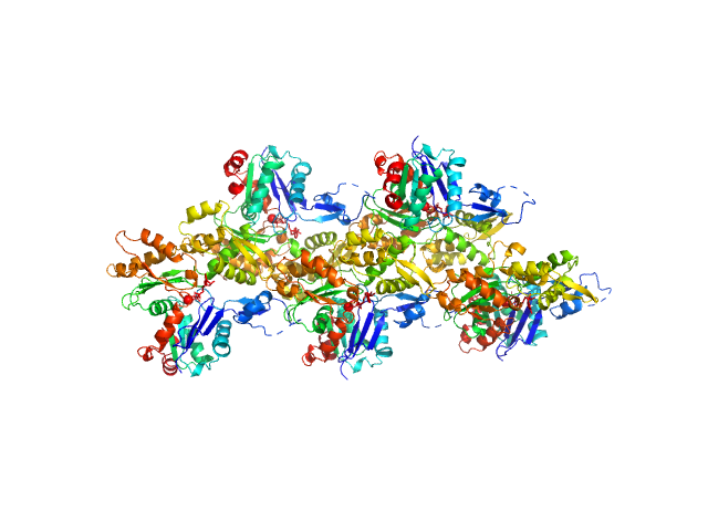 Actin, cytoplasmic 1 PYMOL model