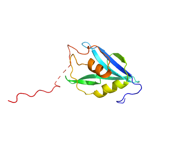Genome polyprotein SREFLEX model