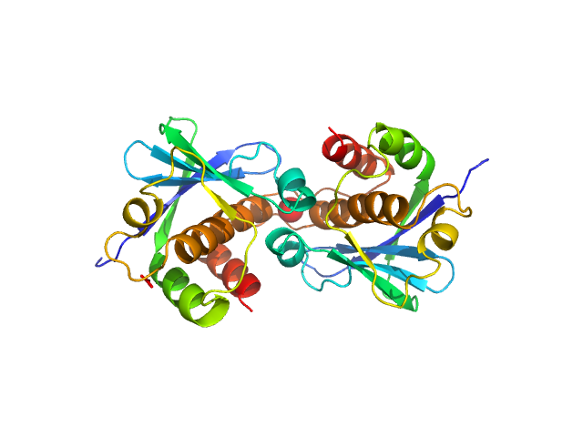 PYMOL model