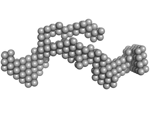 B2 short interspaced nuclear element (SINE) RNA with two point mutations DAMMIN model