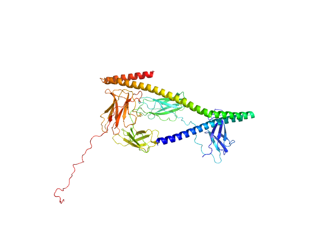 MULTIFOXS model