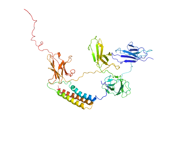 MULTIFOXS model