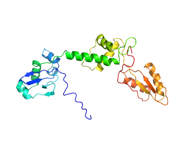 MULTIFOXS model