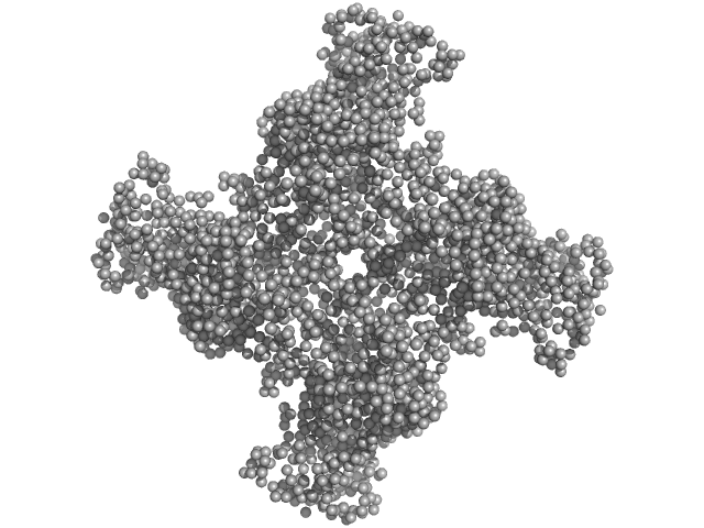 GASBOR model