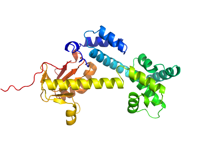 CDAN1-interacting nuclease 1 ALPHAFOLD model