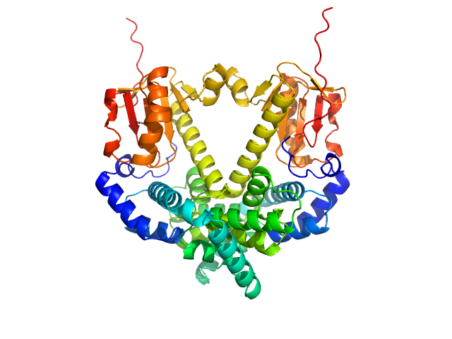 CDAN1-interacting nuclease 1 ALPHAFOLD model