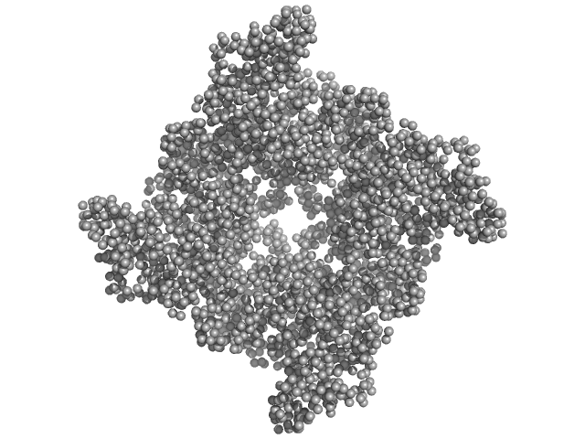 GASBOR model