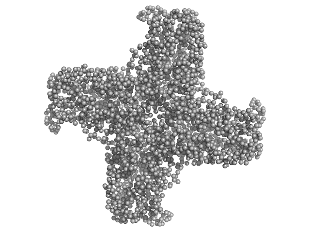 GASBOR model