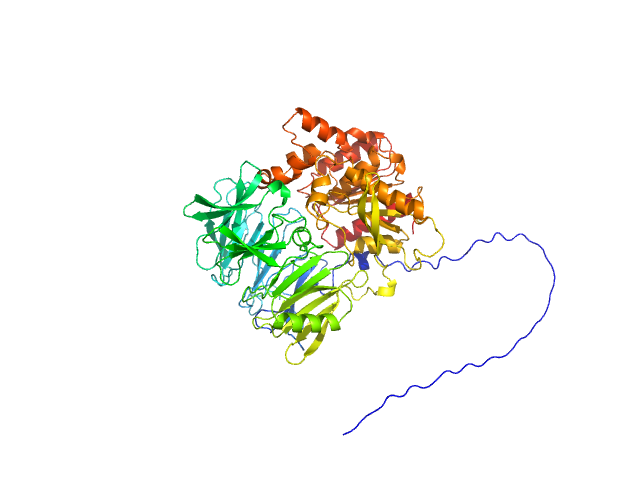 S9 peptidase form Rhizobium radiobacter ALPHAFOLD model
