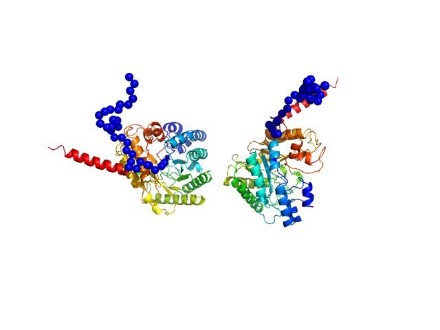 glucan 1,3-beta-glucosidase EOM/RANCH model