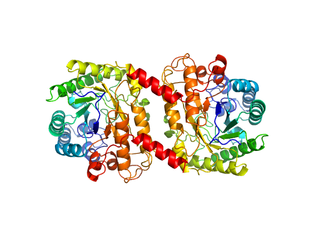 glucan 1,3-beta-glucosidase (short form, glycosylated) PYMOL model