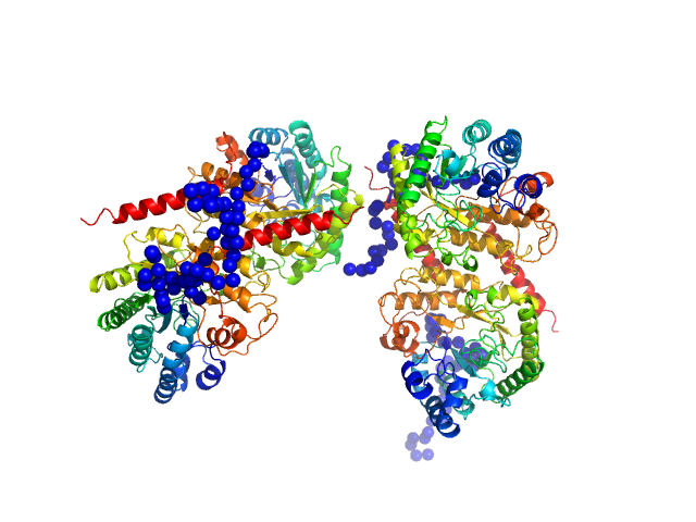 glucan 1,3-beta-glucosidase (long form, glycosylated) EOM/RANCH model