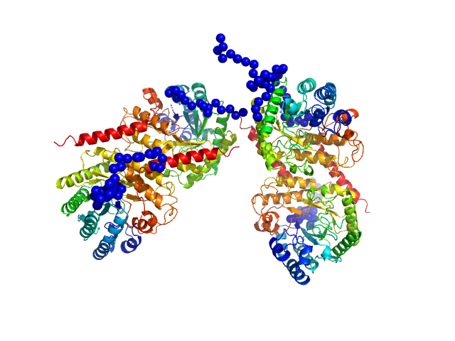 glucan 1,3-beta-glucosidase (long form, glycosylated) EOM/RANCH model