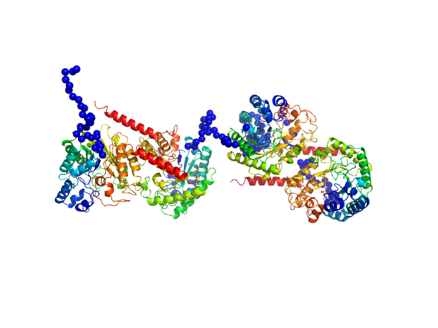 glucan 1,3-beta-glucosidase (long form, glycosylated) EOM/RANCH model