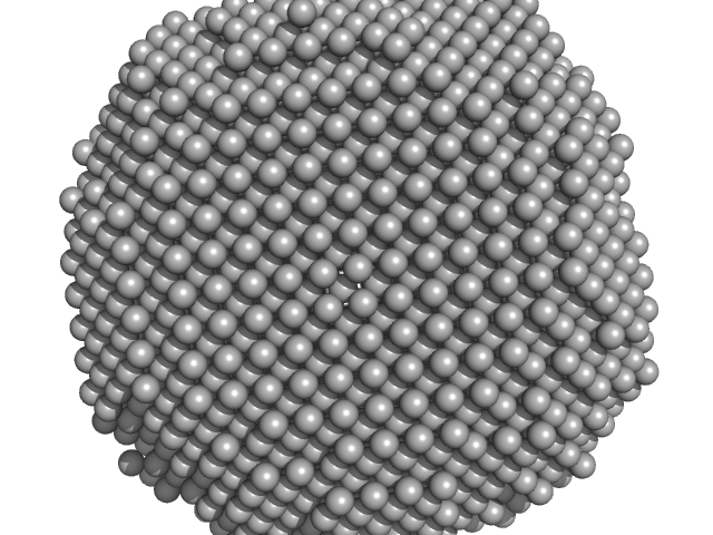 DAMMIF model