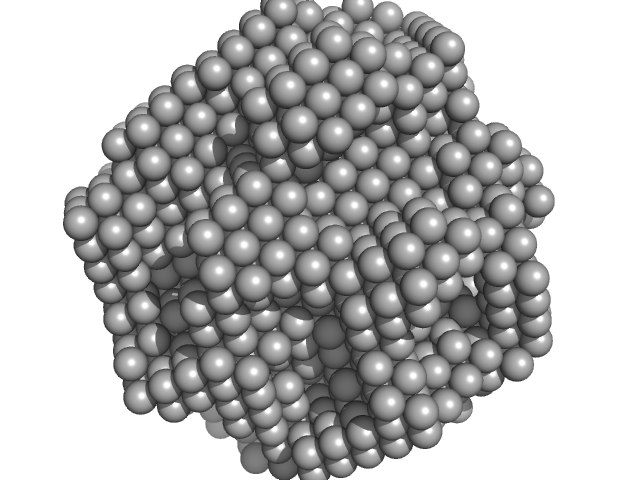glucan 1,3-beta-glucosidase DAMMIN model