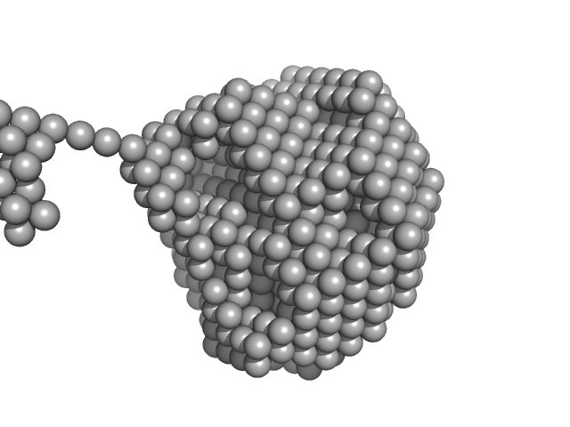 glucan 1,3-beta-glucosidase DAMMIN model