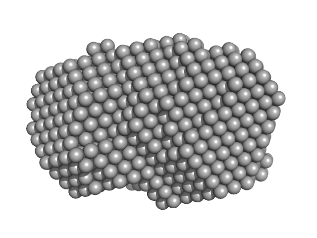 glucan 1,3-beta-glucosidase (W90L, N179H) DAMMIN model