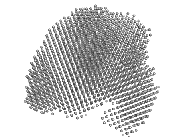 DAMMIF model