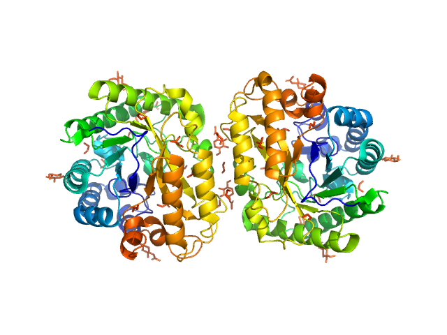 PDB (PROTEIN DATA BANK) model