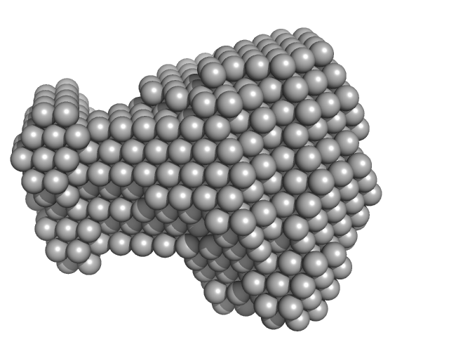 glucan 1,3-beta-glucosidase (W90L, N179H) DAMMIN model