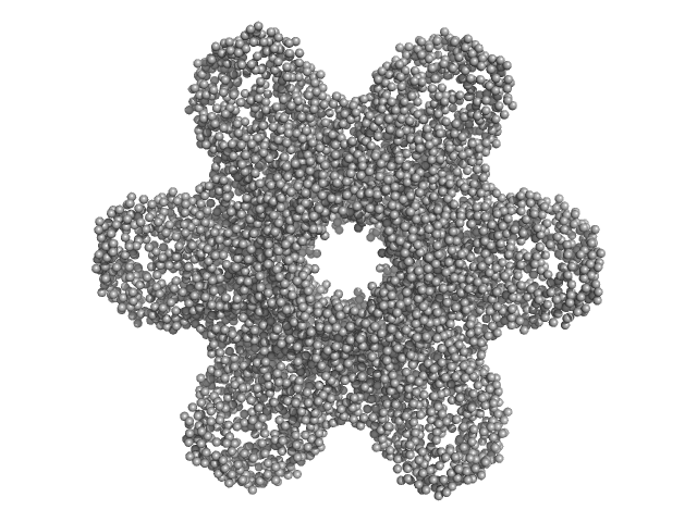 GASBOR model