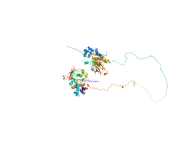 DNA repair protein RAD51 homolog 1 (F86E A89E) Breast cancer type 2 susceptibility protein (BRC repeats 2-3) MULTIFOXS model