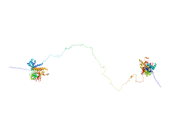 DNA repair protein RAD51 homolog 1 (F86E A89E) Breast cancer type 2 susceptibility protein (BRC repeats 2-3) MULTIFOXS model