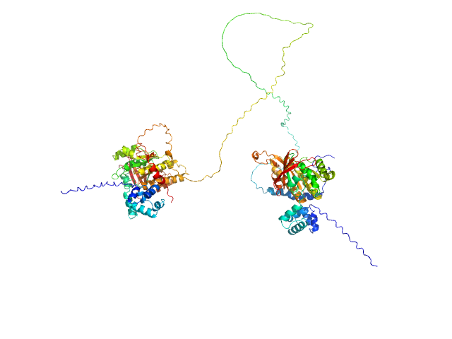 DNA repair protein RAD51 homolog 1 (F86E A89E) Breast cancer type 2 susceptibility protein (BRC repeats 2-3) MULTIFOXS model