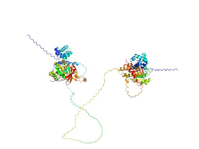 DNA repair protein RAD51 homolog 1 (F86E A89E) Breast cancer type 2 susceptibility protein (BRC repeats 2-3) MULTIFOXS model