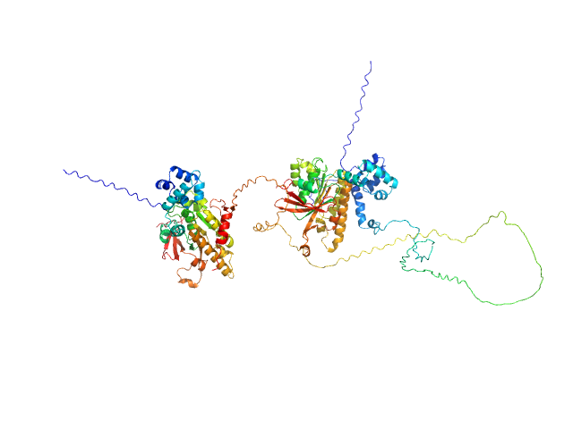 DNA repair protein RAD51 homolog 1 (F86E A89E) Breast cancer type 2 susceptibility protein (BRC repeats 2-3) MULTIFOXS model