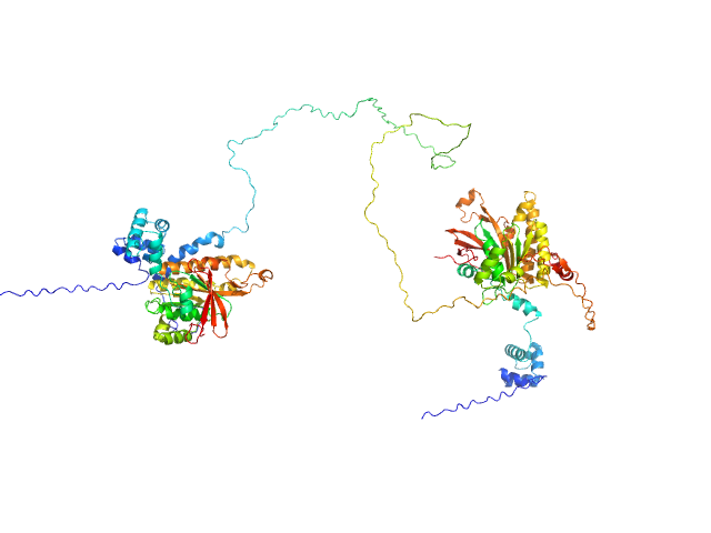 DNA repair protein RAD51 homolog 1 (F86E A89E) Breast cancer type 2 susceptibility protein (BRC repeats 2-3) MULTIFOXS model